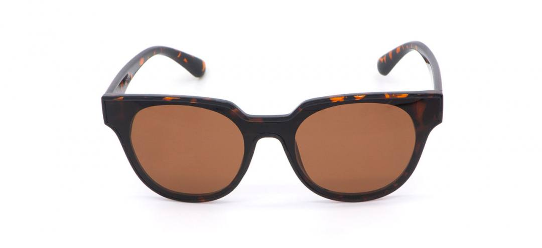 KL0019 «Panarea» Sonnenbrille - Schildkröte & Brown