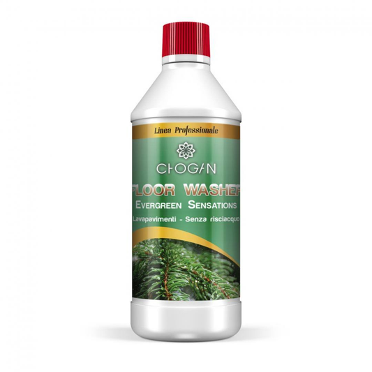 DT21 «Immergrüne Empfindungen»-Spülenfreies Bodenreinigungsmittel (750 ml)