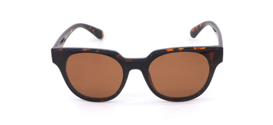 KL0019 «Panarea» Sonnenbrille - Schildkröte & Brown