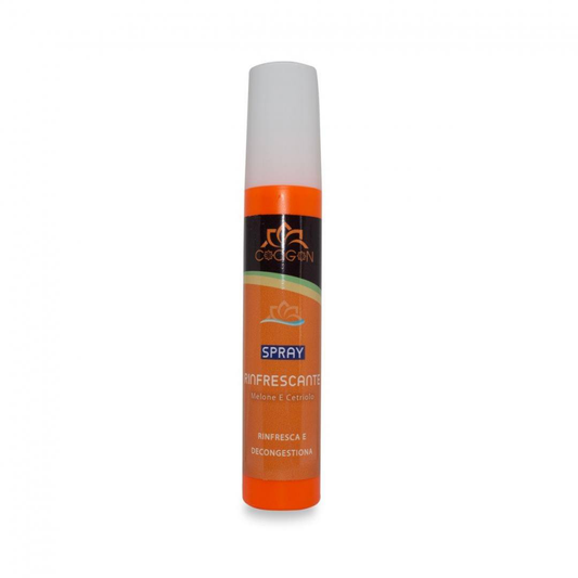 SOL17 Erfrischungsspray - Gurke & Melone